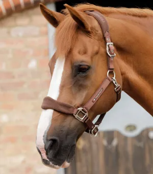 Fleece Padded Horse Head Collar Brown