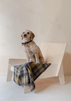 Recycled Wool Small Pet Blanket in Buchanan Natural Tartan