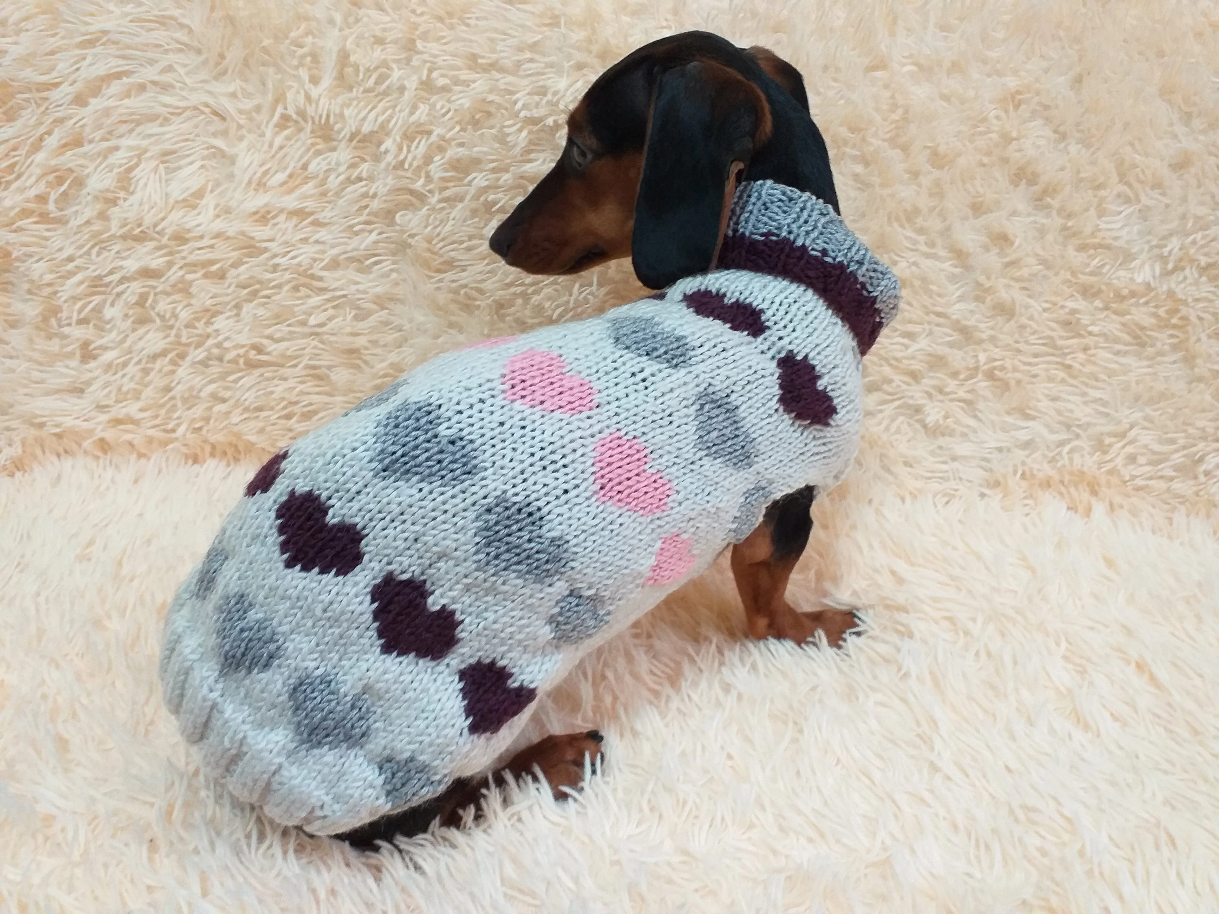 Size L sweater with hearts for a dog, dachshund sweater knitted with hearts